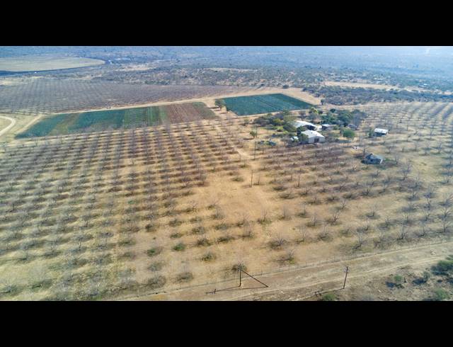 31HA FARM FOR SALE IN WEENEN